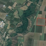 Земеделски имот в Вълчедръм -  кв.м за 1895 €/дка - Снимка #1