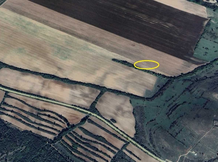 Земеделски имот в с. Войнягово, Област Пловдив -  кв.м за 357 €/дка - Снимка #1