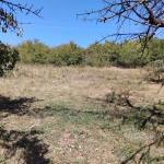 Парцел в с. Крайници, Област Кюстендил - 1000 кв.м за 22 €/кв.м - Снимка #1