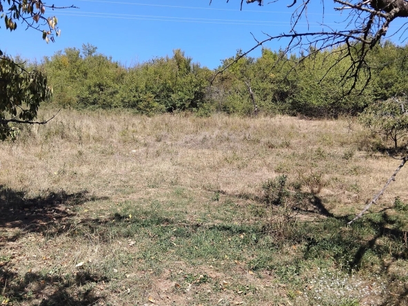 Парцел в с. Крайници, Област Кюстендил - 1000 кв.м за 22 €/кв.м - Снимка #1