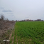 Парцел в с. Калитиново, Област Стара Загора - 3612 кв.м за 12 €/кв.м - Снимка #1