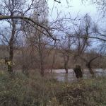 Парцел в Бобошево - 2300 кв.м за 6 €/кв.м - Снимка #1