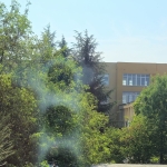 Дава се под наем Гараж / Паркомясто в Хасково, Куба - 55 кв.м за 127.5 € - Снимка #1