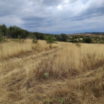 Парцел в с. Пиперево, Област Кюстендил - 6000 кв.м за 2 €/кв.м - Снимка #1