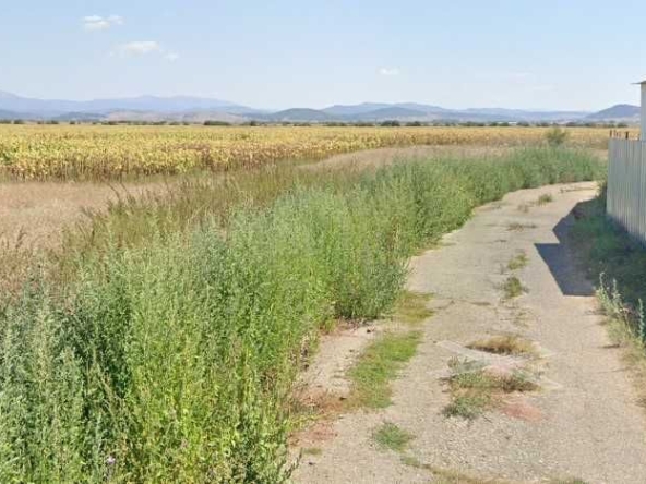 Парцел в Елин Пелин - 4520 кв.м за 70 €/кв.м - Снимка #1