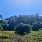 Земеделски имот в Смолян, Горно Влахово -  кв.м за 1260 €/дка - Снимка #1