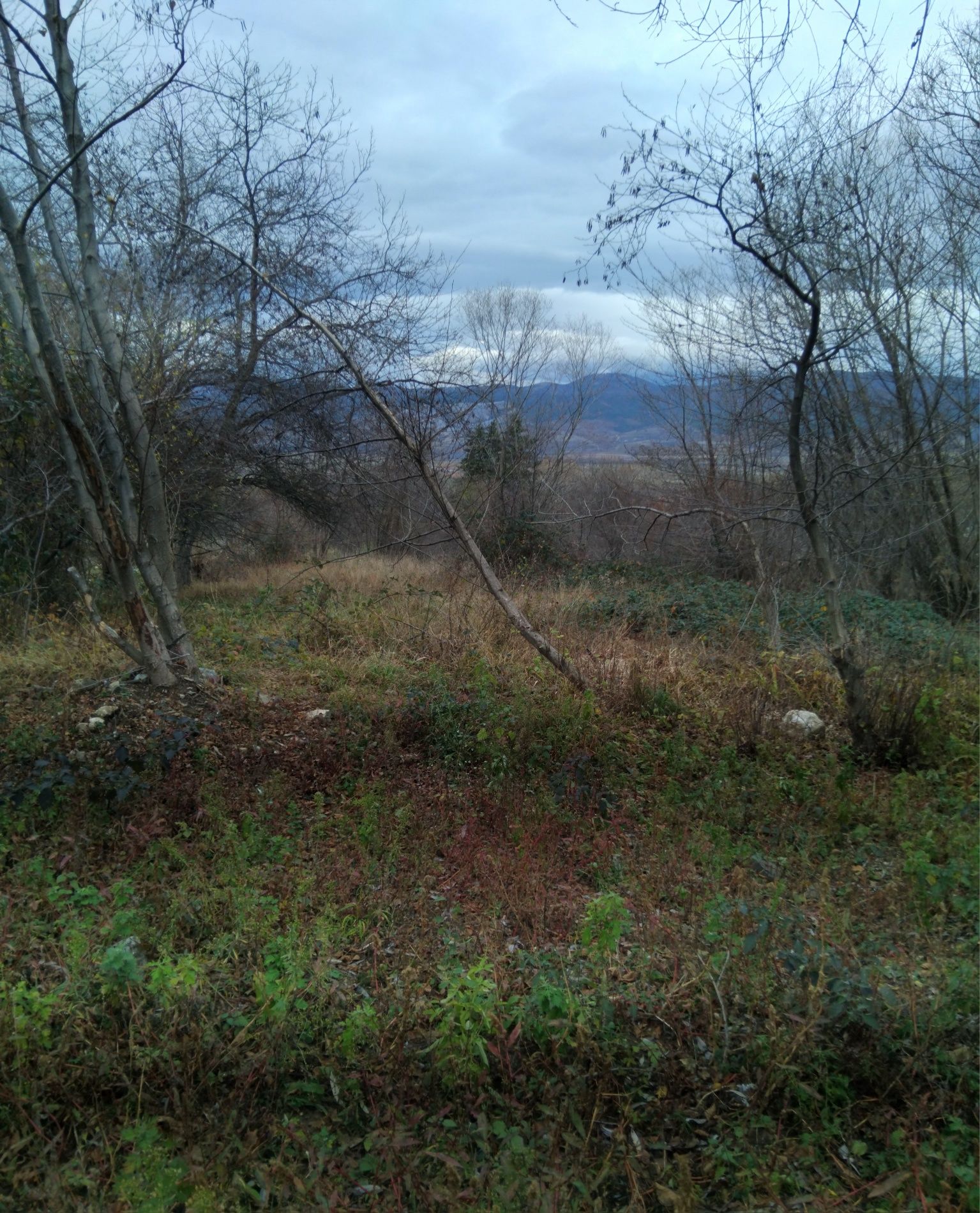 Парцел в Сапарева баня - 310 кв.м за 30 €/кв.м - Снимка #1