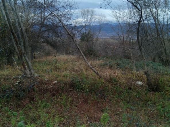 Парцел в Сапарева баня - 310 кв.м за 59 €/кв.м - Снимка #1