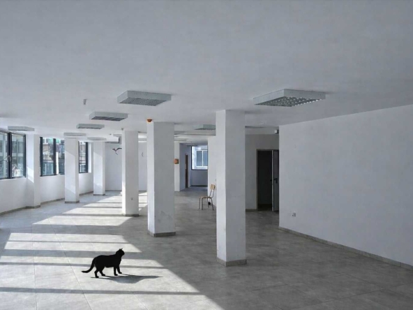 Дава се под наем Офис в Варна, ЖП Гара - 230 кв.м за 1261.74 € - Снимка #1