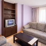 Дава се под наем Тристаен апартамент в Пловдив, Център - 80 кв.м за 378.93 € - Снимка #1