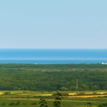 Парцел в с. Рогачево, Област Добрич - 500 кв.м за 70 €/кв.м - Снимка #1