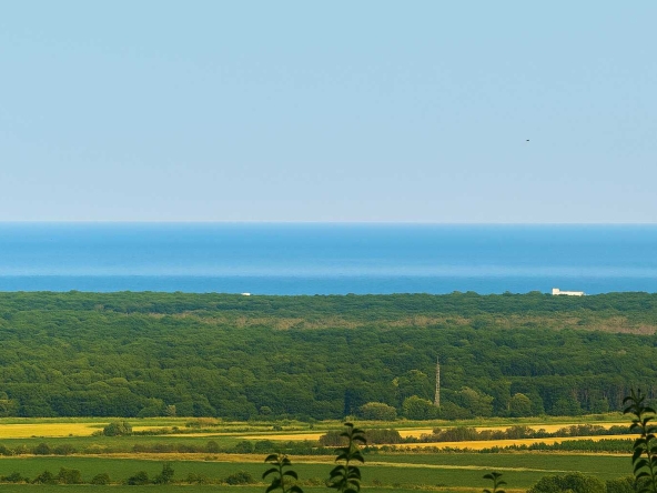 Парцел в с. Рогачево, Област Добрич - 500 кв.м за 70 €/кв.м - Снимка #1