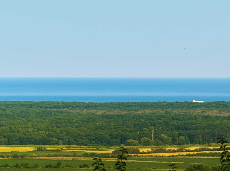 Парцел в с. Рогачево, Област Добрич - 500 кв.м за 70 €/кв.м - Снимка #1