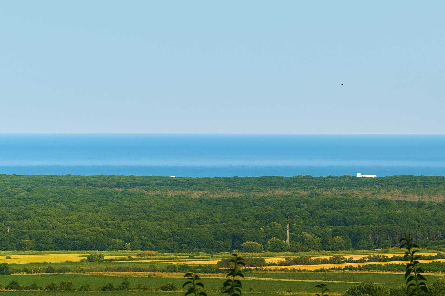 Парцел в с. Рогачево, Област Добрич - 500 кв.м за 70 €/кв.м - Снимка #1