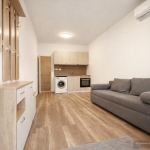 Дава се под наем Едностаен апартамент в Пловдив, Южен - 20 кв.м за 179.52 € - Снимка #1