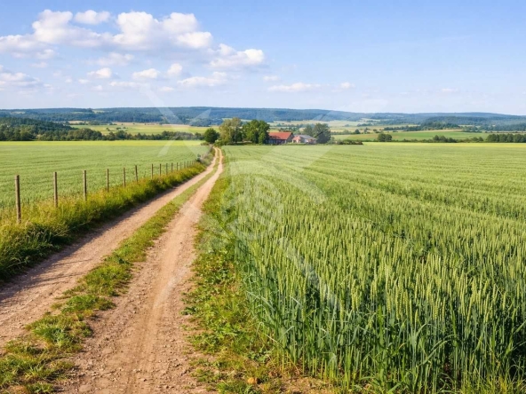 Земеделски имот в с. Марково, Област Пловдив -  кв.м за 18 €/дка - Снимка #1