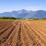 Земеделски имот в Асеновград -  кв.м за 18 €/дка - Снимка #1