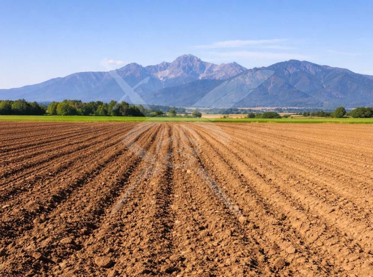 Земеделски имот в Асеновград -  кв.м за 18 €/дка - Снимка #1