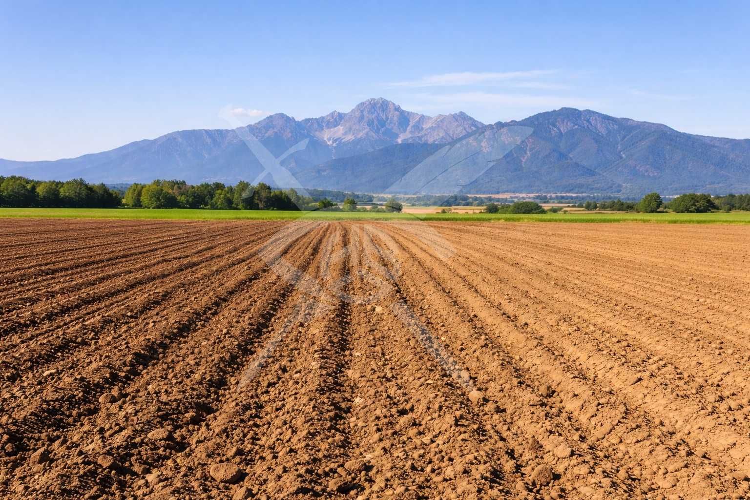 Земеделски имот в Асеновград -  кв.м за 18 €/дка - Снимка #1