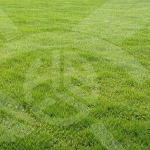 Парцел в с. Брестовица, Област Пловдив - 4211 кв.м за 2 €/кв.м - Снимка #1