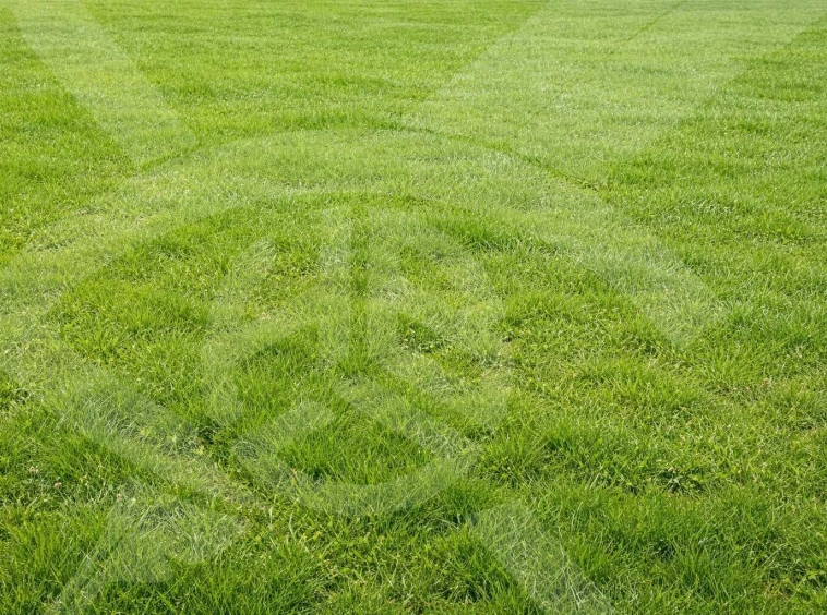 Парцел в с. Брестовица, Област Пловдив - 4211 кв.м за 2 €/кв.м - Снимка #1