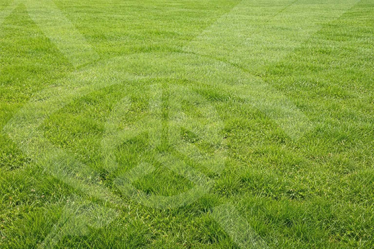 Парцел в с. Брестовица, Област Пловдив - 4211 кв.м за 2 €/кв.м - Снимка #1