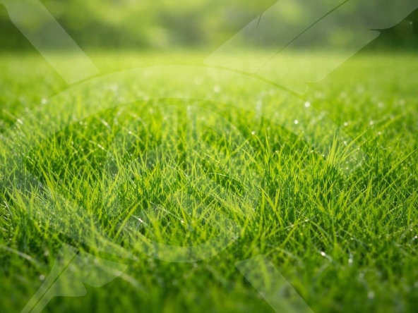 Парцел в с. Рогош, Област Пловдив - 4320 кв.м за 6 €/кв.м - Снимка #1