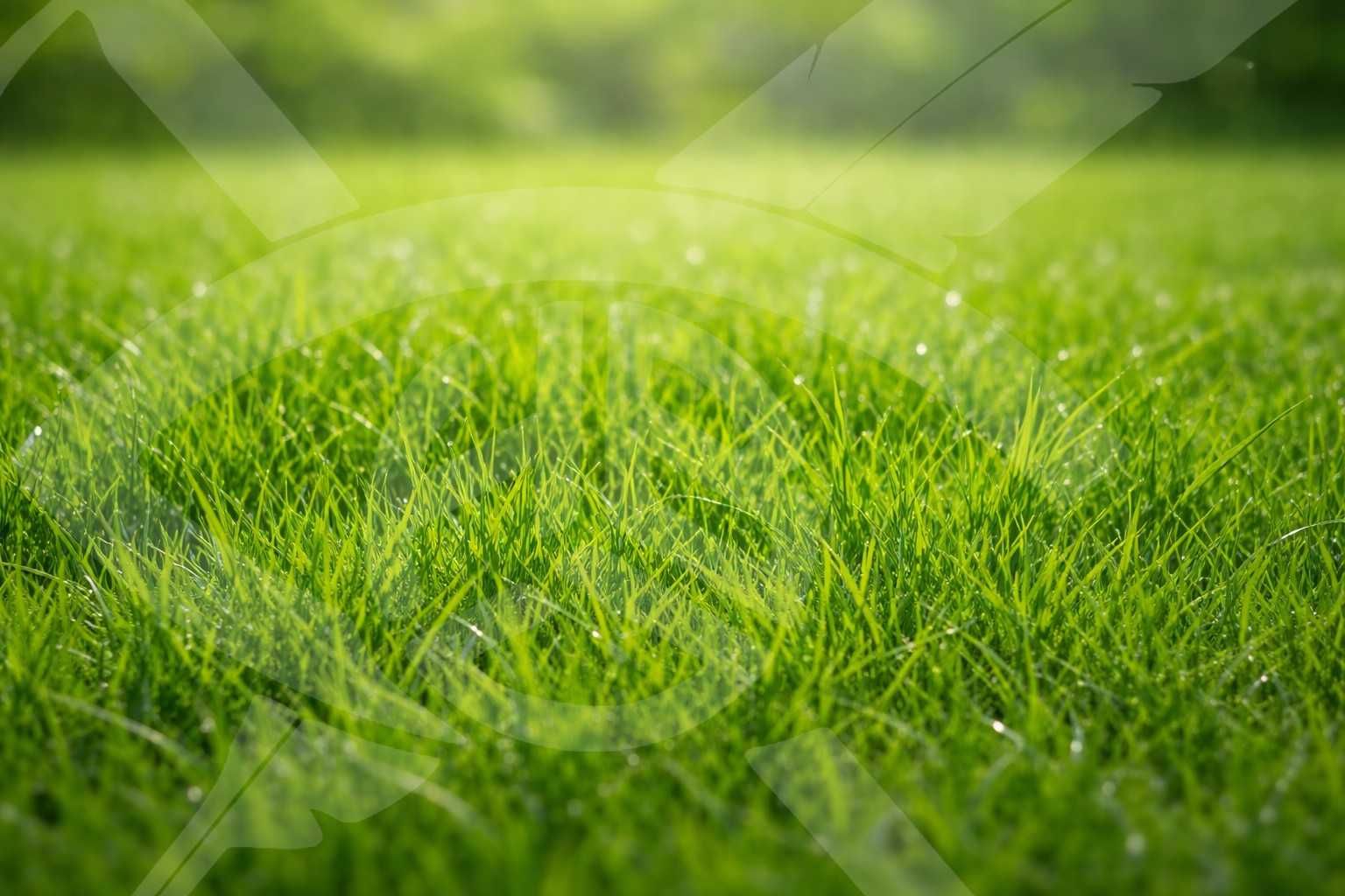 Парцел в с. Рогош, Област Пловдив - 4320 кв.м за 6 €/кв.м - Снимка #1