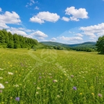 Парцел в с. Царацово, Област Пловдив - 12715 кв.м за 71 €/кв.м - Снимка #1