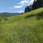 Парцел в Сапарева баня - 540 кв.м за 42 €/кв.м - Снимка #1