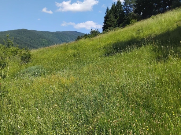 Парцел в Сапарева баня - 540 кв.м за 42 €/кв.м - Снимка #1