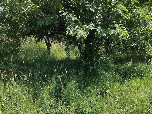 Парцел в Сапарева баня - 500 кв.м за 65 €/кв.м - Снимка #1