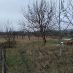 Парцел в с. Самораново, Област Кюстендил - 7100 кв.м за 15 €/кв.м - Снимка #1