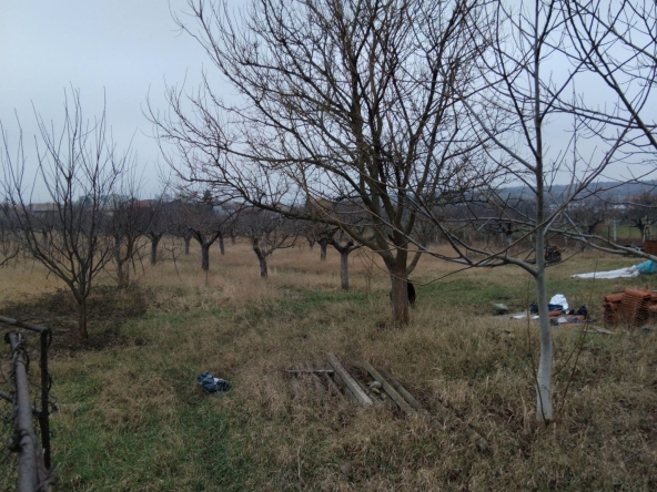 Парцел в с. Самораново, Област Кюстендил - 7100 кв.м за 15 €/кв.м - Снимка #1