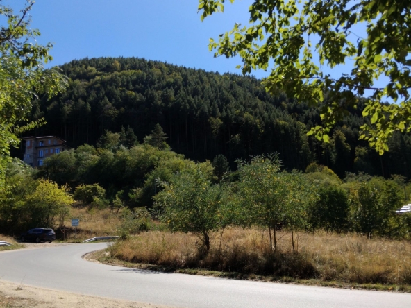 Парцел в Сапарева баня - 5418 кв.м за 80 €/кв.м - Снимка #1