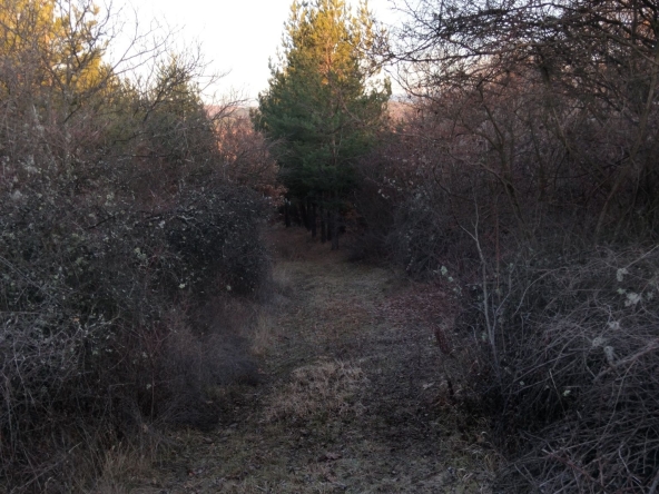 Парцел в Дупница - 960 кв.м за 15 €/кв.м - Снимка #1