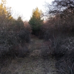 Парцел в Дупница - 960 кв.м за 15 €/кв.м - Снимка #1