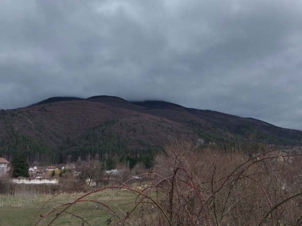 Парцел в Сапарева баня - 800 кв.м за 38 €/кв.м - Снимка #1