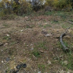 Парцел в Кюстендил, Колуша - 1100 кв.м за 63 €/кв.м - Снимка #1