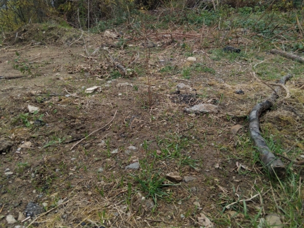 Парцел в Кюстендил, Колуша - 1100 кв.м за 63 €/кв.м - Снимка #1