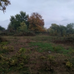 Парцел в с. Самораново, Област Кюстендил - 900 кв.м за 48 €/кв.м - Снимка #1