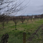 Парцел в с. Посабина, Област Търговище - 2370 кв.м за 6 €/кв.м - Снимка #1