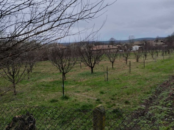Парцел в с. Посабина, Област Търговище - 2370 кв.м за 6 €/кв.м - Снимка #1