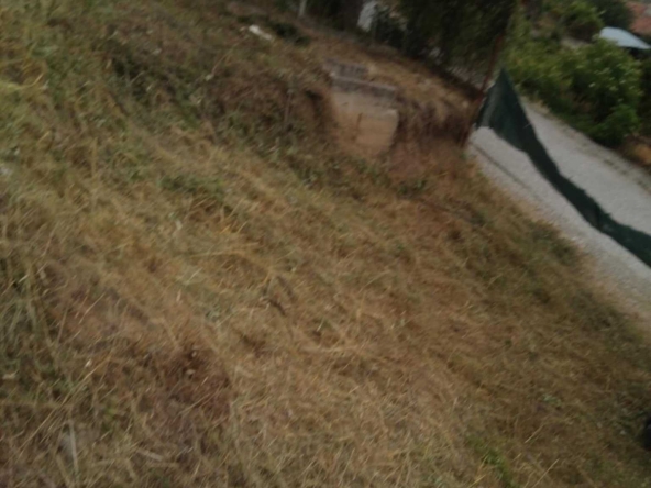 Парцел в с. Владо Тричков, Област София-област - 907 кв.м за 89 €/кв.м - Снимка #1