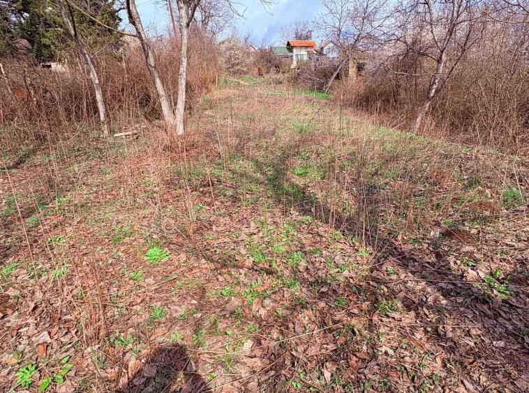 Парцел в Търговище, Вилна зона - 523 кв.м за 10 €/кв.м - Снимка #1