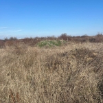 Парцел в с. Първенец, Област Пловдив - 550 кв.м за 48 €/кв.м - Снимка #1