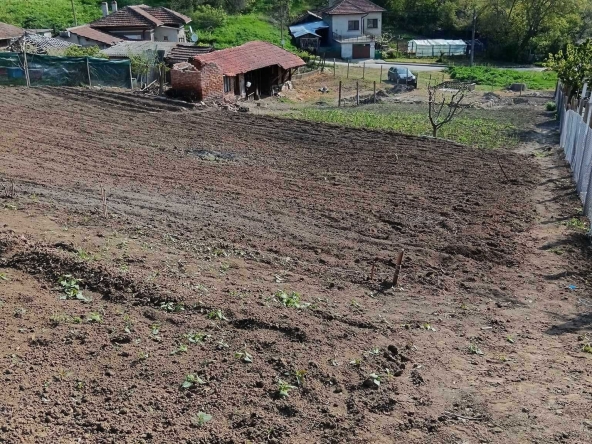 Парцел в с. Ситово, Област Силистра - 2300 кв.м за 6 €/кв.м - Снимка #1