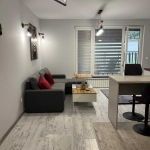 Дава се под наем Едностаен апартамент в София, Витоша - 55 кв.м за 425 € - Снимка #1