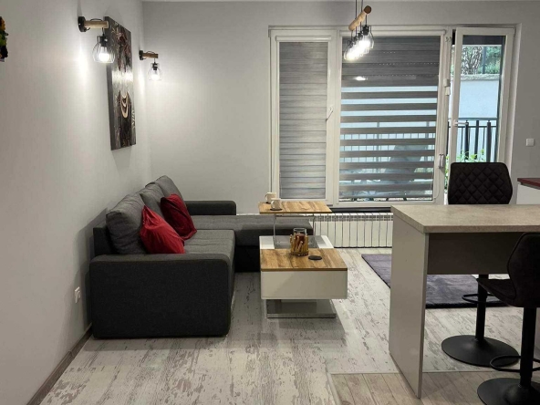 Дава се под наем Едностаен апартамент в София, Витоша - 55 кв.м за 425 € - Снимка #1