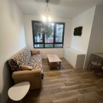 Дава се под наем Двустаен апартамент в София, Бъкстон - 40 кв.м за 475 € - Снимка #1